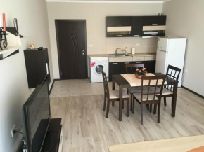 Apartment Svetla